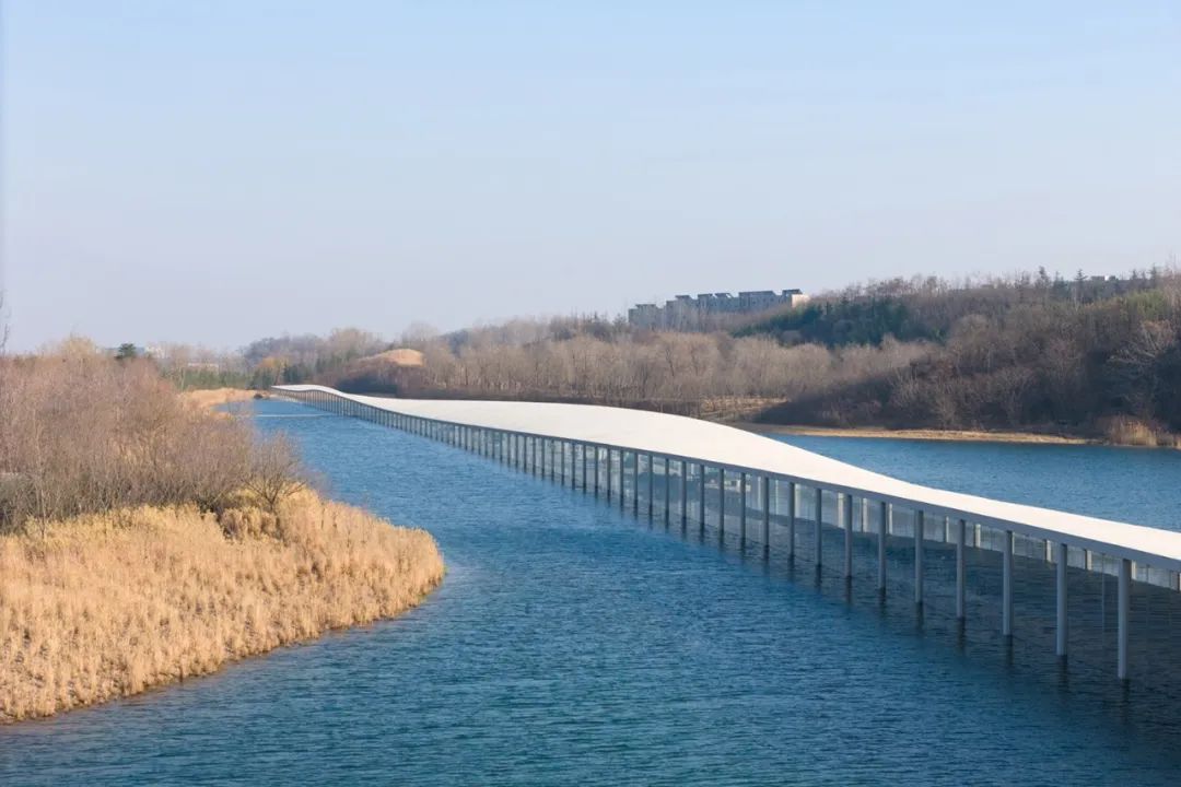 17212879188971705IIc.jpg 10022.jpg