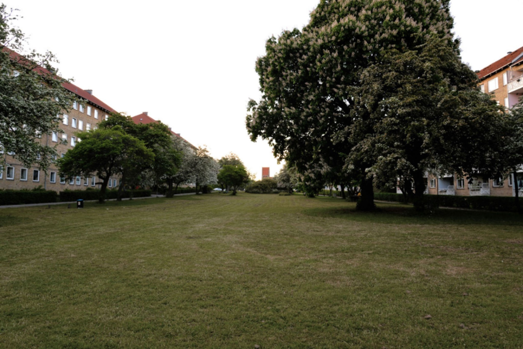 17442663521195837ZNo.jpg 5b2928ccc8607f55ac219beeab61f0d3.jpg